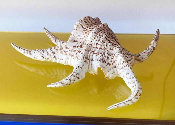 Studio_suite05 Apartamento Alba Adriatica